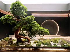 -神奈川·小京