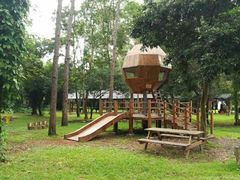 -南宁良凤江国家森林公园