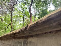 -宝通禅寺
