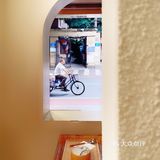 谁不想在这个巨冷的冬天💠喝一碗热梨儿水🍐