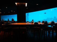 -海棠湾洲际-涛·海底餐厅·美人鱼·自助餐·海底隧道