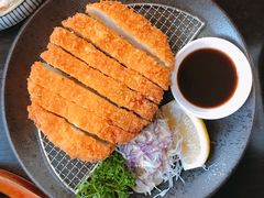 -春草居酒屋·晴子の店