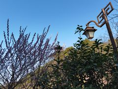 -杭州半山国家森林公园