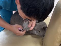 -宠颐生中康贝怡动物医院