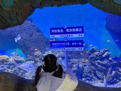 -横店影视城梦幻谷园区