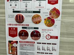 -瑞派名望志远动物医院·猫科·內科·异宠专科(直港大道店)