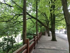 -咸宁万豪温泉谷度假区