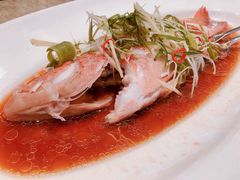 -绿波廊七号(豫园新路店)