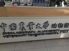 -中国农业大学动物医院