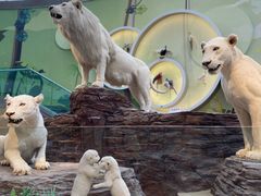 -陕西自然博物馆