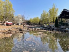 -青龙湖公园
