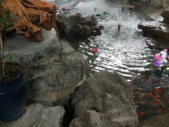 -森谷美食公园(杨行店)