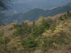 -四明山国家森林公园