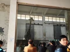 -石家庄市动物园