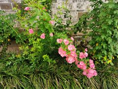 -金谷域澳洲庄园