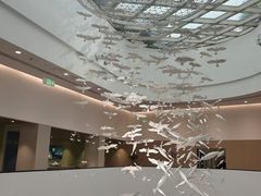 -中国湿地博物馆