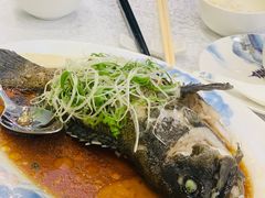 -沙田新强记烧鹅海鲜酒家