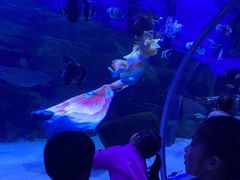 -顺德南宏海立方海洋公园