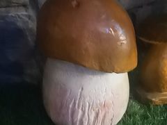 -菌彩云南野生菌火锅(呈贡七彩云南第壹城店)