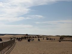 -国强手抓(西夏区店)