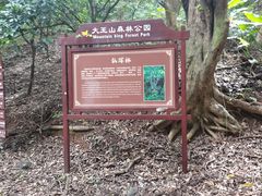 -清溪大王山森林公园