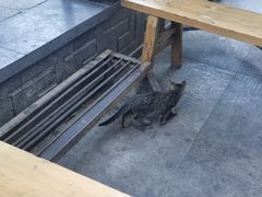 -老地方猫儿面(磁器口店)