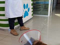 -乖乖乐动物医院(小汤山分院)