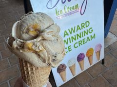 -Dooley's Premium Ice Cream