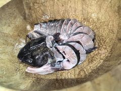 -云中鱼蒸汽石锅鱼(川沙百联店)