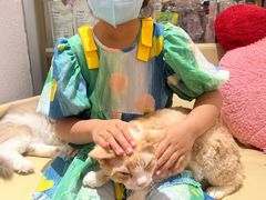-1013 PET SHOP精品宠物商店(丁香店)