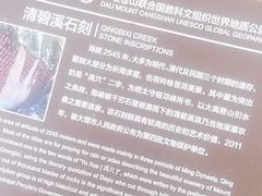 -苍山感通索道