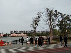 -上海长兴岛郊野公园