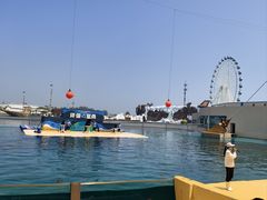 -秦皇岛乐岛海洋王国