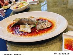 -古南都·老广东酒楼(龙江店)