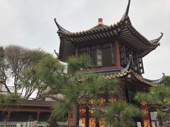 -碧江金楼