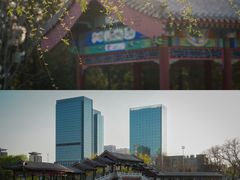 -西海子公园