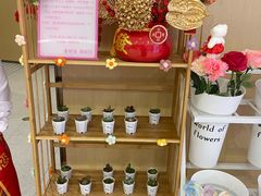 -海底捞火锅(泰安爱琴海店)