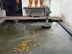 -觀芷隐轩