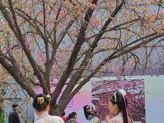 -西安青龙寺遗址景区