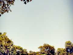 -顺风山庄(水濂山店)