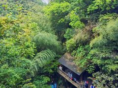 -莫干山风景区