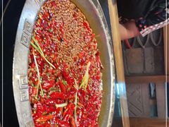 -渝大狮毛肚老火锅(普陀店)