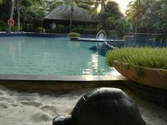 -三亚湾海居铂尔曼度假酒店