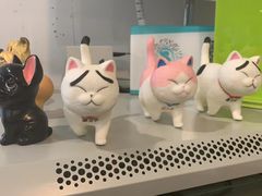 -瑞派先诺宠物医院•猫专科•普外科•中兽医(佛山院)