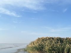 -乌梁素海景区