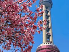 -东方明珠广播电视塔
