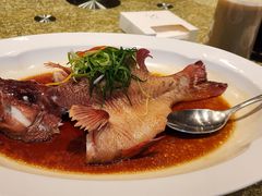 -粤珍轩·家宴·广式茶点(新城广场店)