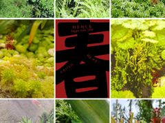 -新加坡植物园