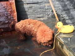 -北京美神宫艺术主题温泉酒店