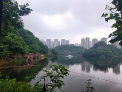 -重庆彩云湖湿地公园